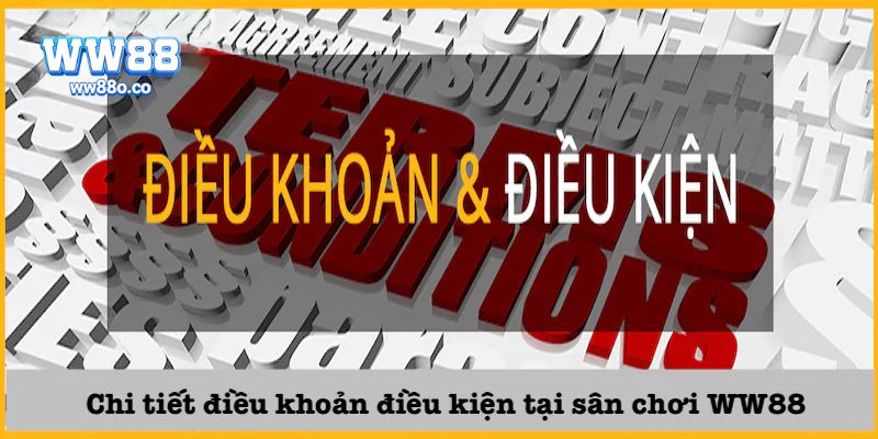 Các quy định liên quan đến hành vi người dùng