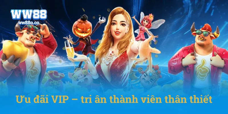 Ưu đãi VIP – tri ân thành viên thân thiết