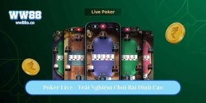 Poker Live – Trải Nghiệm Chơi Bài Đỉnh Cao Theo Thời Gian Thực